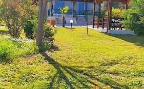 Casa Consta Olympus