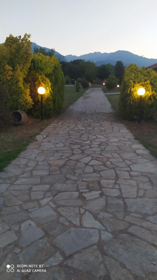 Casa Consta Olympus Βίλα Λιτόχωρο Εξωτερικό φωτογραφία