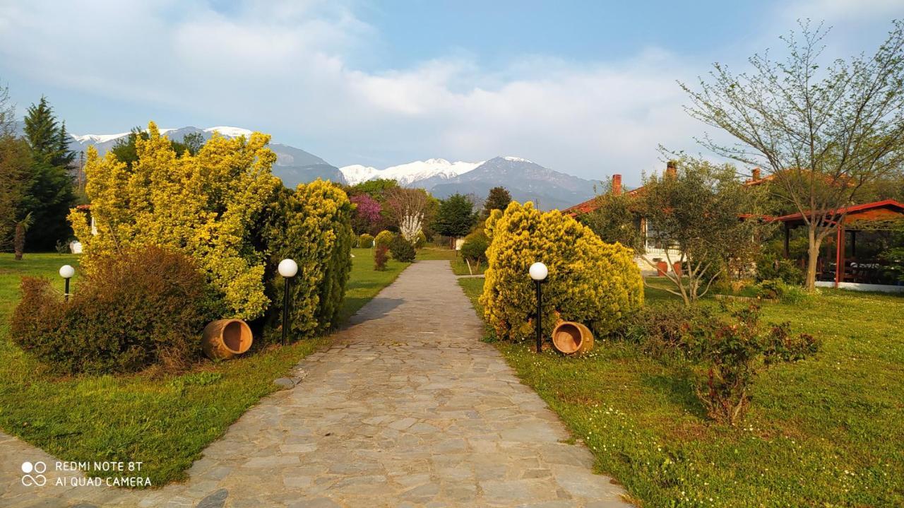 Casa Consta Olympus Βίλα Λιτόχωρο Εξωτερικό φωτογραφία