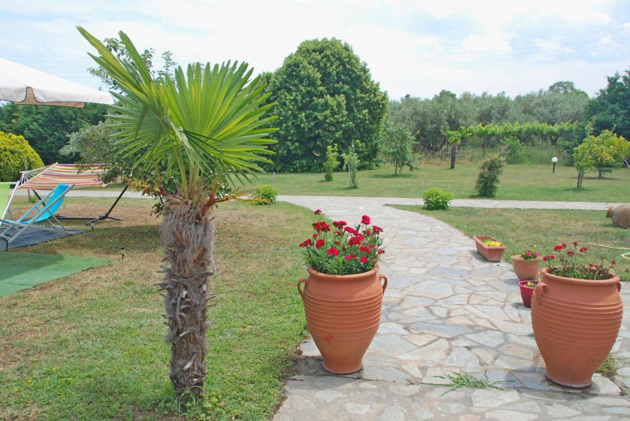 Casa Consta Olympus Βίλα Λιτόχωρο Εξωτερικό φωτογραφία