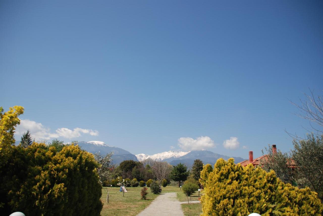 Casa Consta Olympus Βίλα Λιτόχωρο Εξωτερικό φωτογραφία