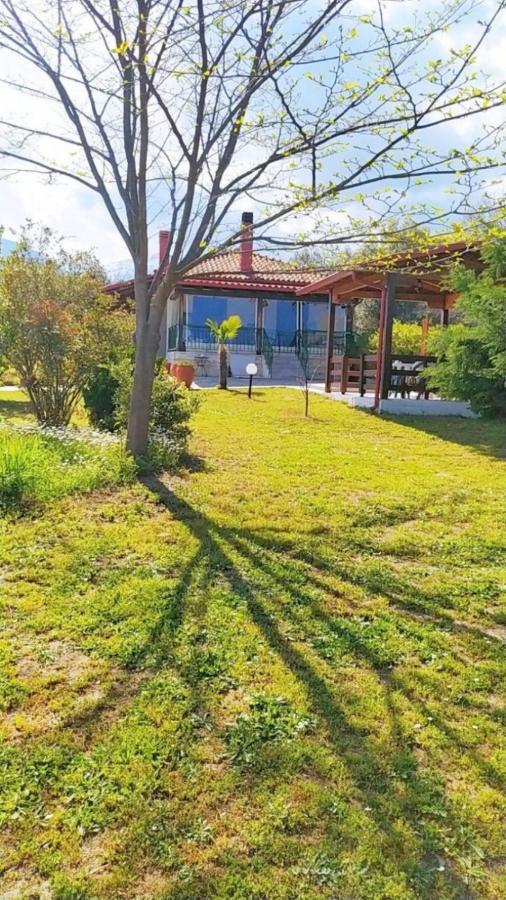 Casa Consta Olympus Βίλα Λιτόχωρο Εξωτερικό φωτογραφία