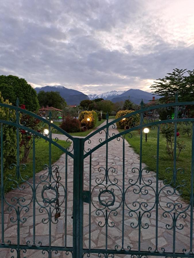 Casa Consta Olympus Βίλα Λιτόχωρο Εξωτερικό φωτογραφία