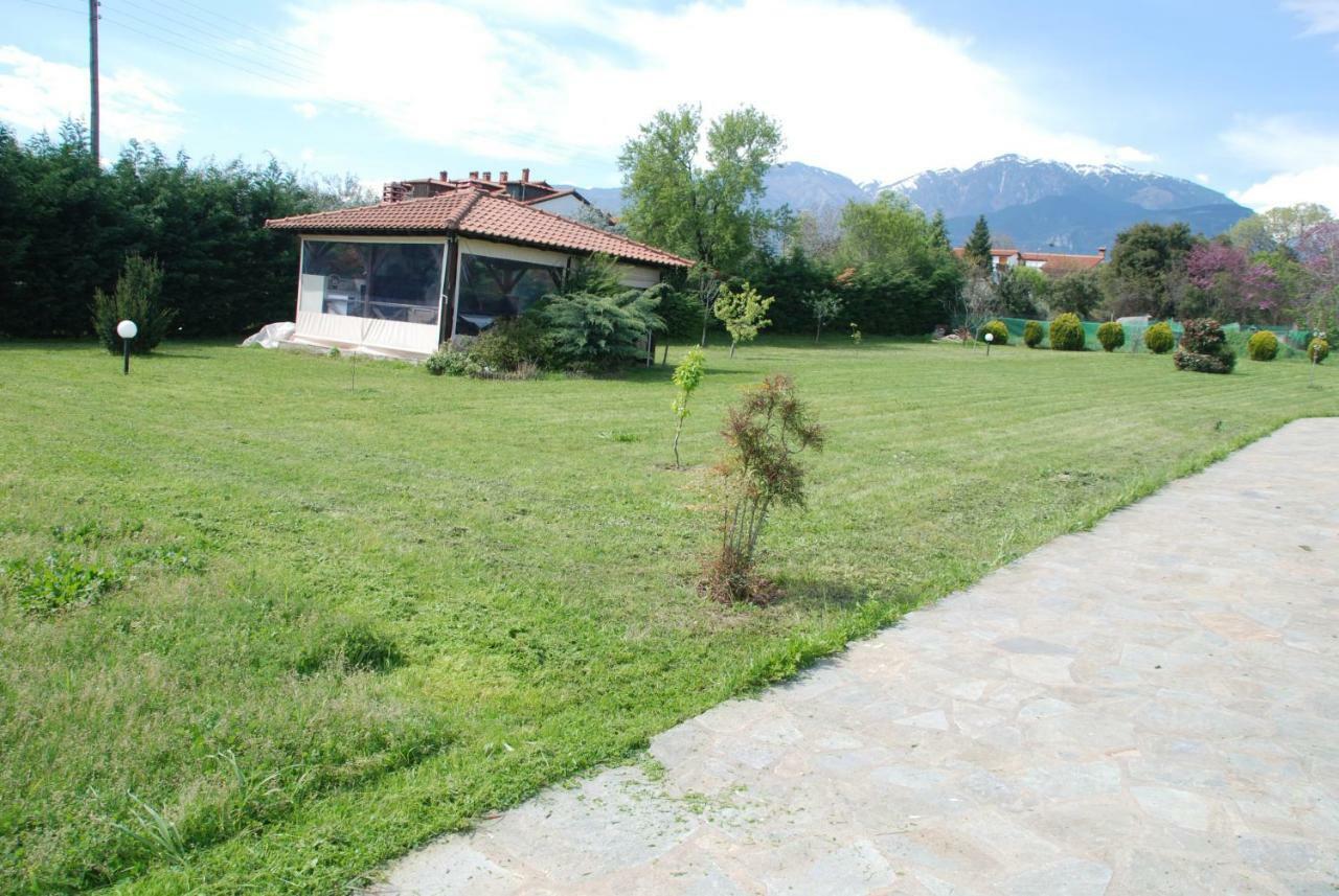 Casa Consta Olympus Βίλα Λιτόχωρο Εξωτερικό φωτογραφία