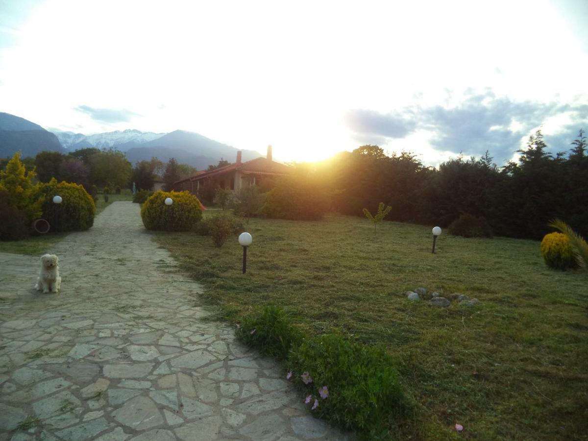 Casa Consta Olympus Βίλα Λιτόχωρο Εξωτερικό φωτογραφία